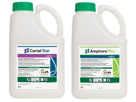 carial-star-en-amphore-plus-de-2-in-1-oplossing-tegen-aardappelplaag-en-alternaria