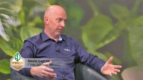 speerpunten-in-fungicidebescherming-emmario-lagrou-crop-advisor-syngenta-em
