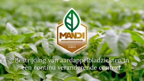 mandipediatv-webinar-beheersen-van-bladziekten-in-aardappel-in-een-voortdurend-evoluerend-kader